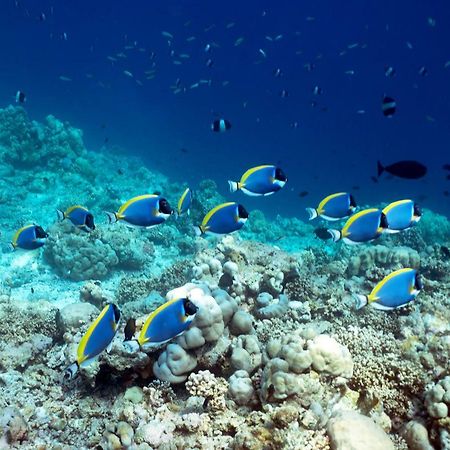 Ocean Village Maldives Holhudhoo Екстер'єр фото