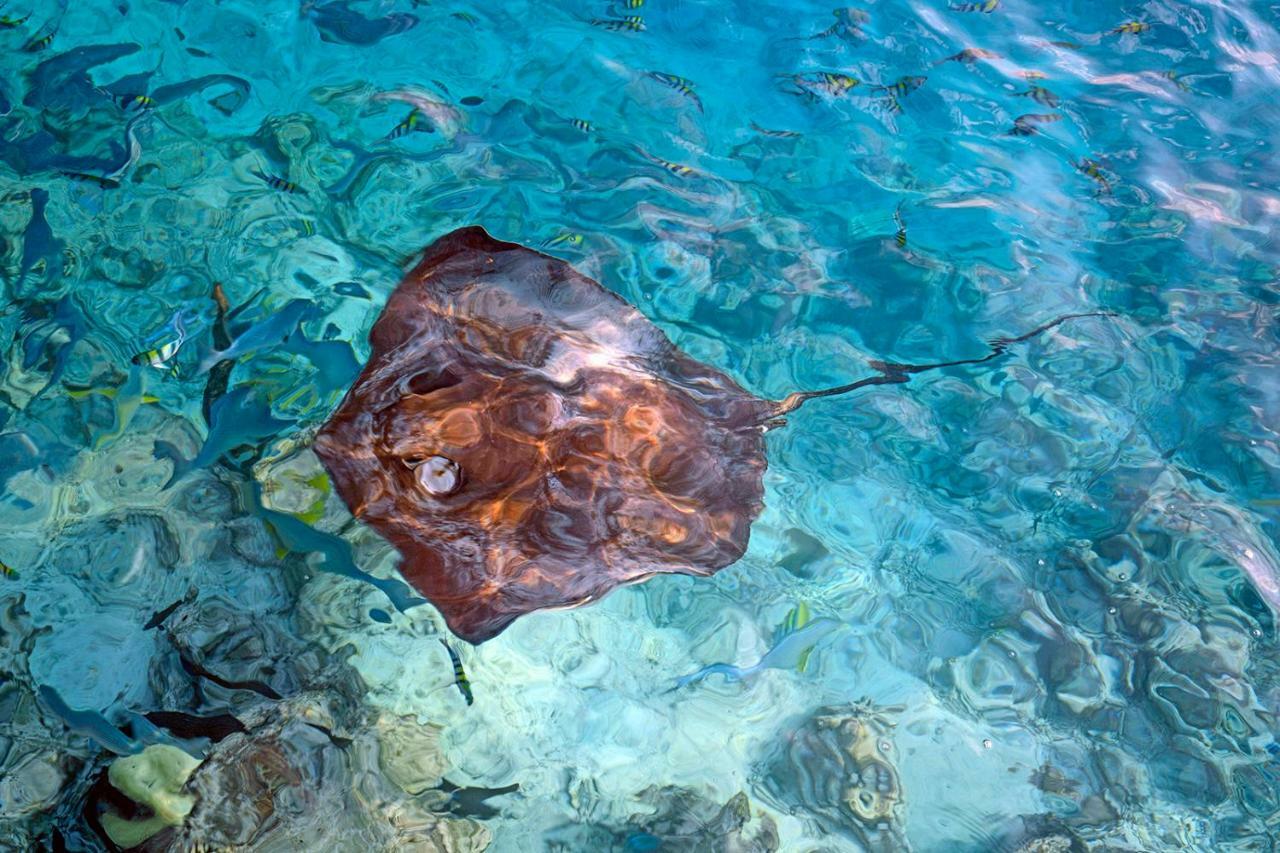 Ocean Village Maldives Holhudhoo Екстер'єр фото