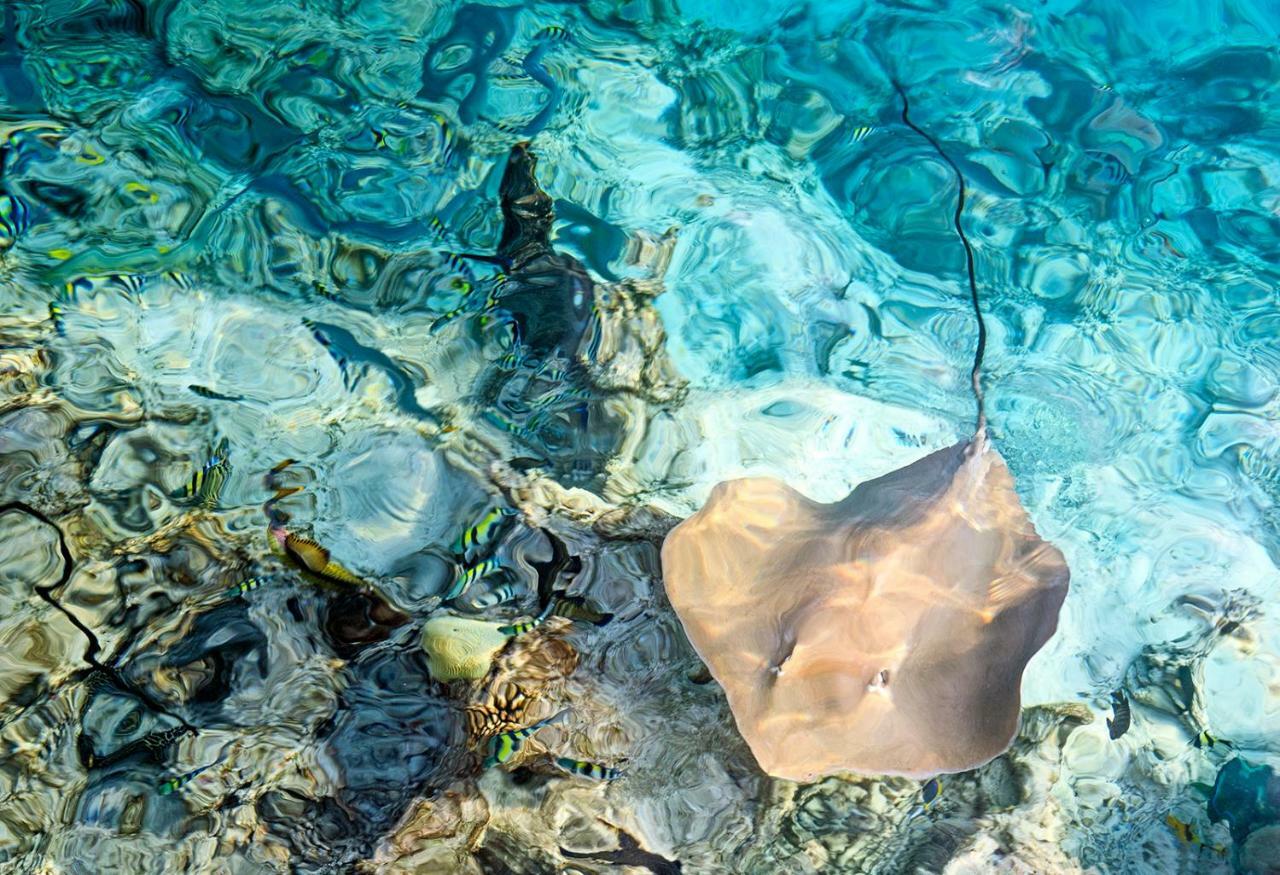 Ocean Village Maldives Holhudhoo Екстер'єр фото