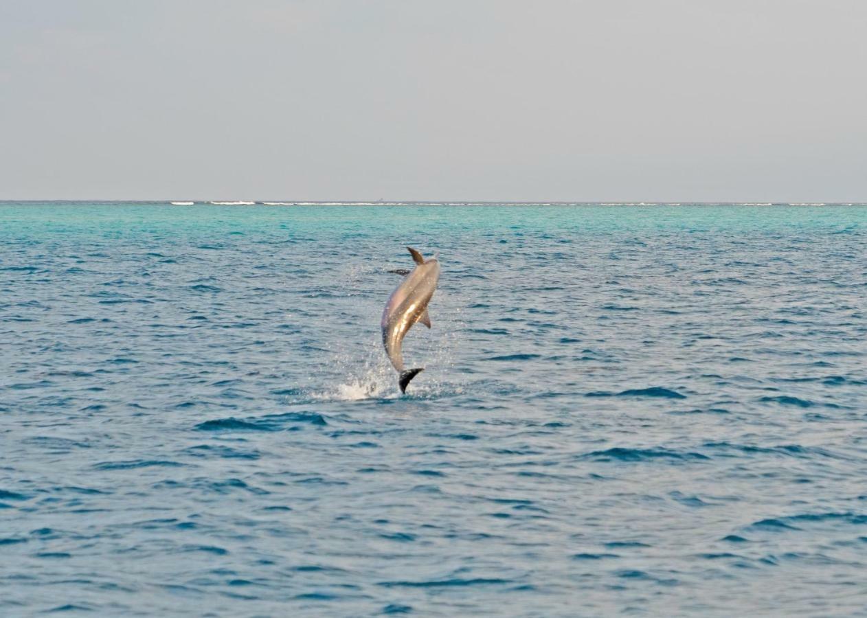 Ocean Village Maldives Holhudhoo Екстер'єр фото