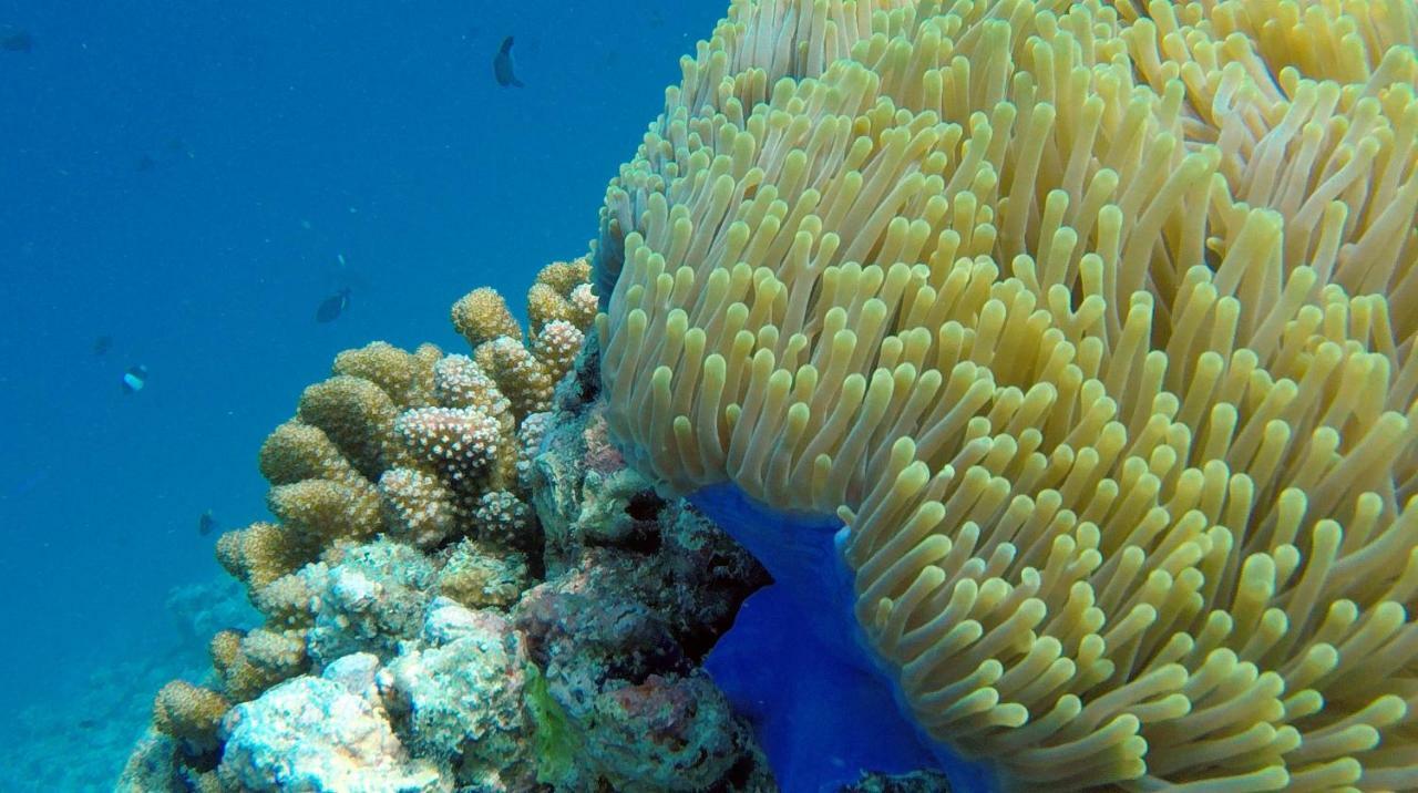 Ocean Village Maldives Holhudhoo Екстер'єр фото