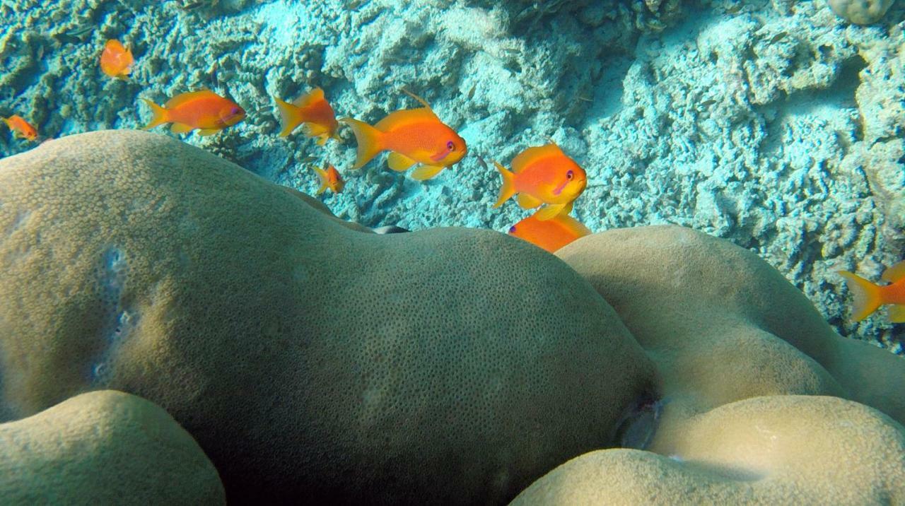 Ocean Village Maldives Holhudhoo Екстер'єр фото