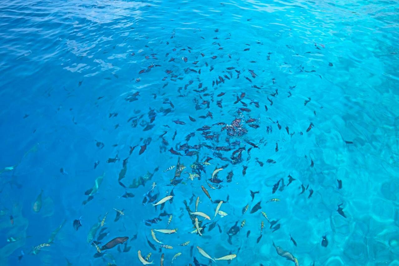 Ocean Village Maldives Holhudhoo Екстер'єр фото