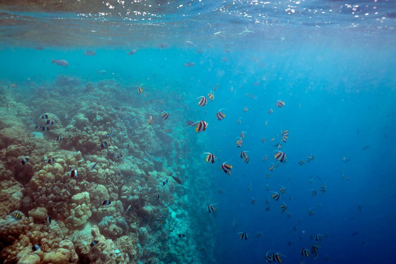 Ocean Village Maldives Holhudhoo Екстер'єр фото