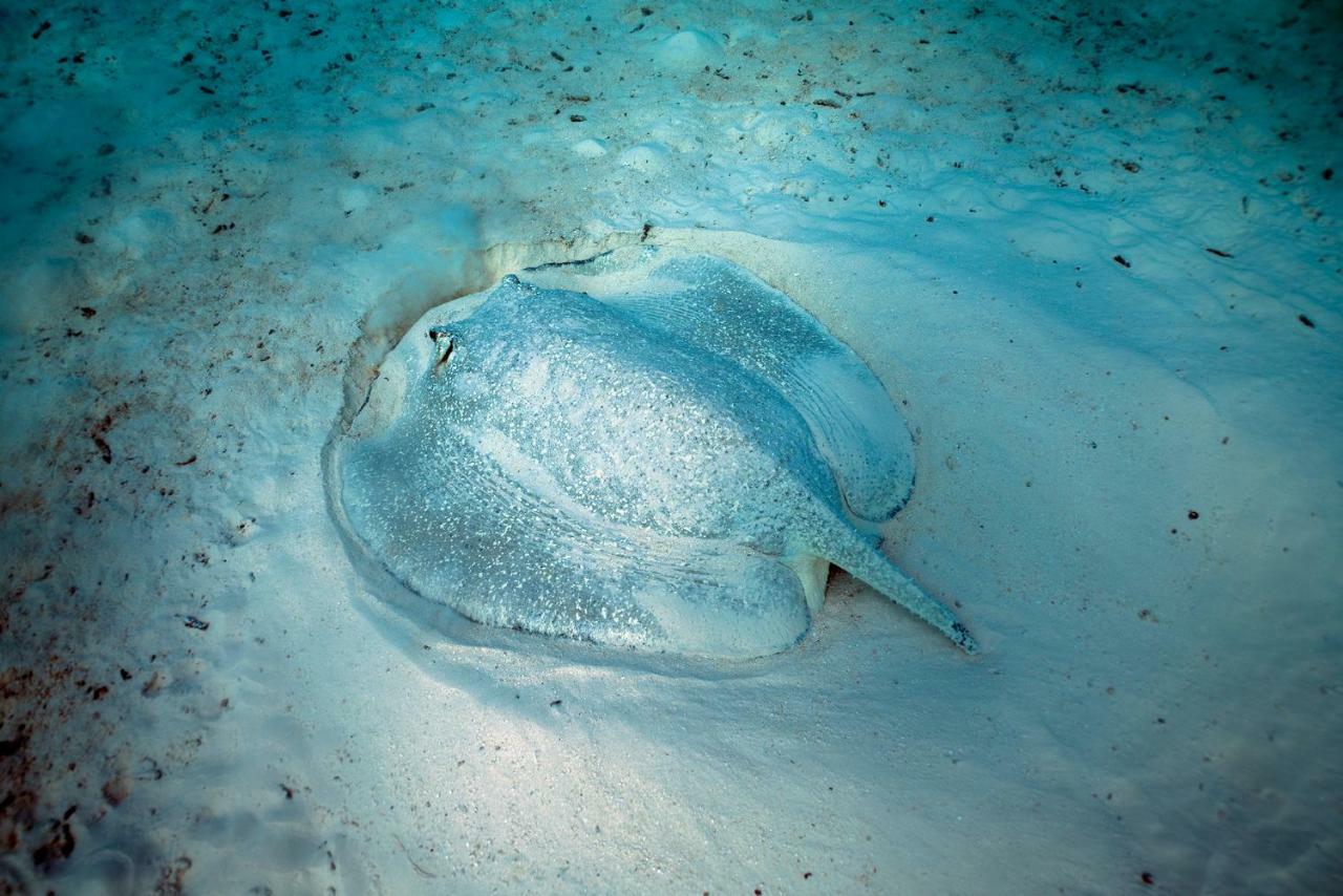 Ocean Village Maldives Holhudhoo Екстер'єр фото